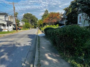 Bush Trimming by Alphonso Hoke for Janice B. in Baltimore, MD