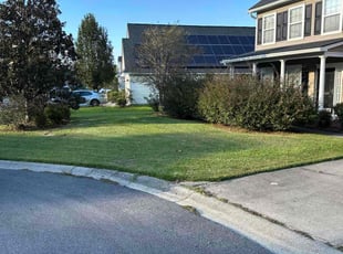 Jamye D.'s Yard Cutting service result