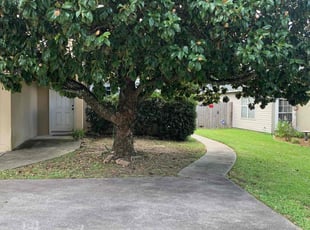 Leaf Removal by James Barkley for William B. in Tallahassee, FL