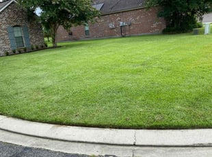 Lauren U.'s Grass Cutting service result