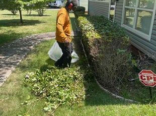 Bush Trimming by Marco Antenor for Harriet P. in Charlotte, NC