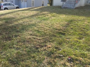 Leaf Removal by James Buchanan for Amy F. in Independence, MO