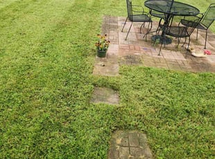 Peter C.'s Lawn Mowing service result
