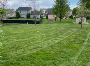 Sebastian H.'s Lawn Care service result