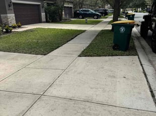 Toni W.'s Lawn Care service result