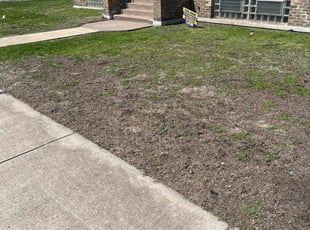 Cedrick F.'s Yard Cutting service result