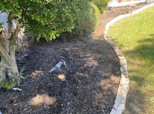 Weeding by Jose Tovar for Alicia D. in Fort Worth, TX