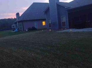 Tinika F.'s Yard Cutting service result