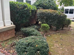 Bush Trimming by Jermaine Huguley for Michael W. in Fairburn, GA