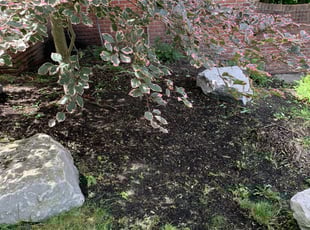 Weeding by Ryan Cooper for Jasper S. in Grand Rapids, MI