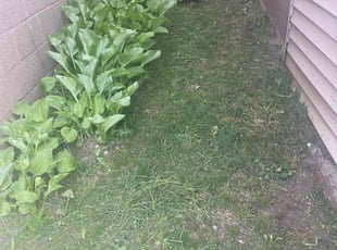 "\"Karin B.'s Lawn Care service result