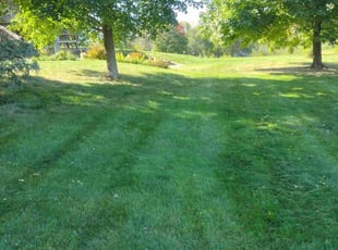 Paul R.'s Grass Cutting service result