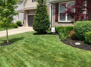 Bush Trimming by Joel Laumas for MELISSA R. in Lexington, KY