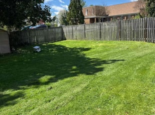 Camille C.'s Lawn Mowing service result