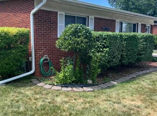Bush Trimming by Brian Bowser for Daniel C. in Clinton Township, MI