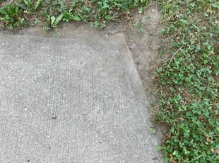 Cleanups by David Talley for Paloma T. in Boston, MA