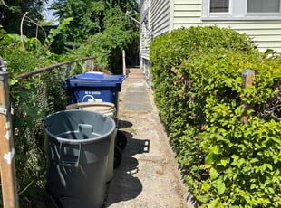 Bush Trimming by Randy Regis for Anthony F. in Boston, MA