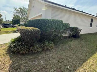 Bush Trimming by Jason Daughtery for Kerstin R. in Middleburg, FL