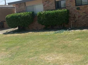 Bush Trimming by Angel Sandoval for Gerard R. in El Paso, TX