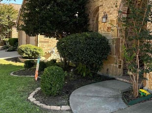 Bush Trimming by Stone Ramsey for Katie H. in McKinney, TX