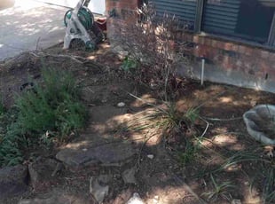 Cleanups by Londre Carter for Brent K. in Arlington, TX