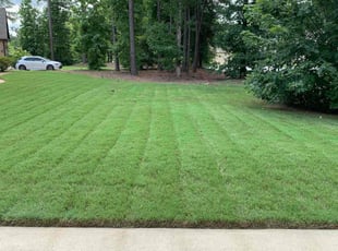 Kendell M.'s Lawn Service service result