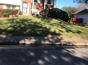 Cleanups by Mark Brague for Allen A. in Virginia Beach, VA