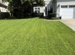 Mary A.'s Bush Trimming service result