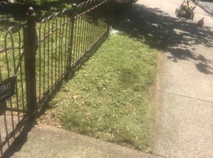 Cleanups by Darren Burch for Gregory F. in Philadelphia, PA