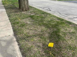 Cleanups by Jose Sanchez for Joe E. in Batavia, IL