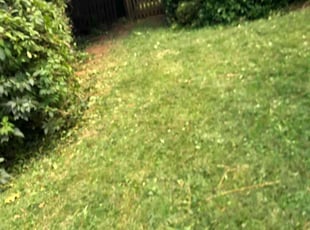 Bush Trimming by Jullian Fryza for Marcia G. in Baltimore, MD
