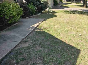 Bush Trimming by Sandro Cardoso for Nicole J. in Grand Prairie, TX