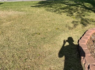 Cleanups by Robert Nichols for Fiona S. in Madison, AL