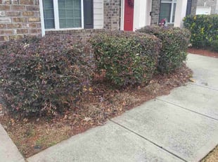 Bush Trimming by Michael Peters for Kristi W. in Canton, GA