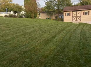 Mary A.'s Lawn Service service result
