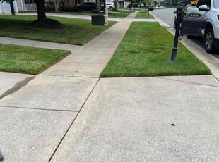 Walter B.'s Lawn Mowing Service service result