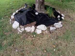 Weeding by Freddy Santaliz for Susan C. in Broken Arrow, OK