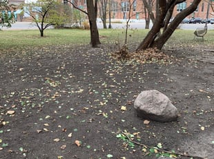 Leaf Removal by Jerry Agnew for Quinn A. in Saint Paul, MN