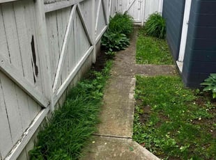 Weeding by Daniel Bunch for Amelia V. in Columbus, OH