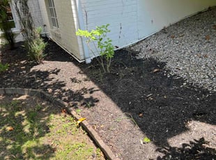 Cleanups by Victor Edwards for Kristina B. in Glendale, OH