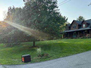 Donna G.'s Lawn Mowing service result