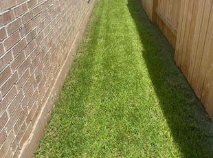 Ruth A.'s Lawn Service service result