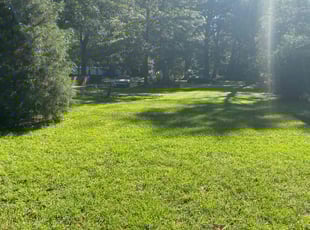 Lisa Y.'s Lawn Service service result