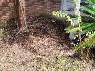 Weeding by Brandon Walls for William C. in Gulf Breeze, FL