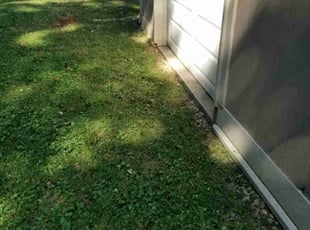 Cleanups by Jaden Benn for Dina F. in Louisville, KY