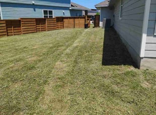Weeding by Thomas Rodriguez for Patrick A. in Kyle, TX