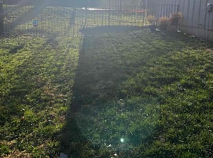 Leaf Removal by Danny Majewski for John P. in Overland Park, KS