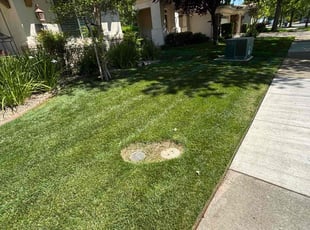 Tehan F.'s Lawn Service service result