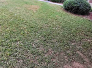 Bush Trimming by Jordan Lee for Ryan J. in Cumming, GA