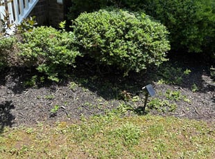 Mulching by Amanda Carter for Jeff D. in Cary, NC
